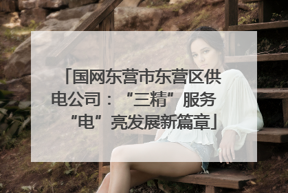 国网东营市东营区供电公司：“三精”服务“电”亮发展新篇章